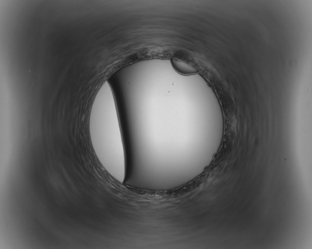 X0000085220914200703090825