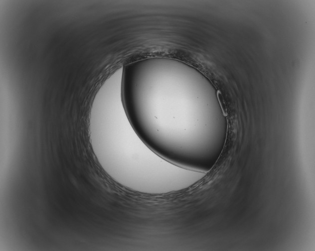 X0000085220916200703090825