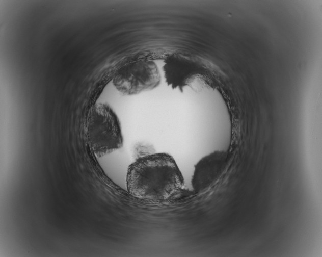 X0000085220917200703090825