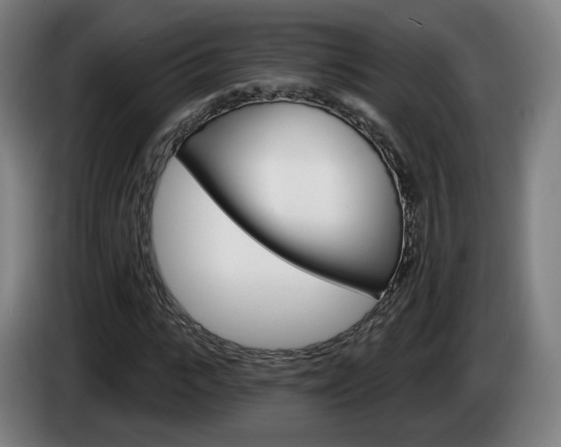 X0000085220919200703090825
