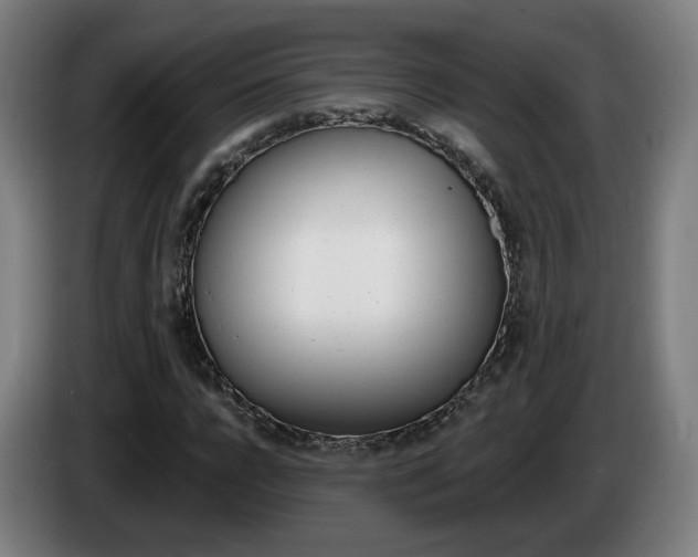 X0000085220920200703090825
