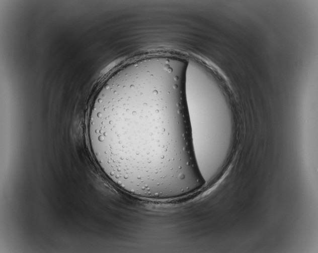 X0000085220921200703090825