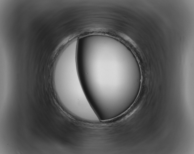 X0000085220922200703090825