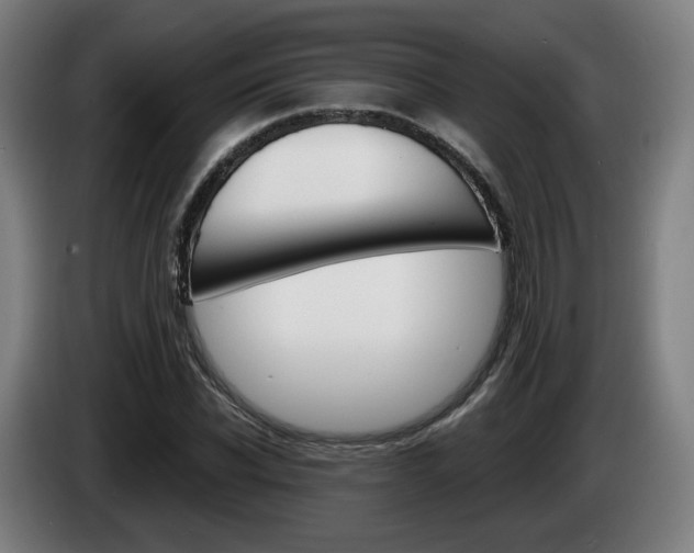 X0000085220926200703090825