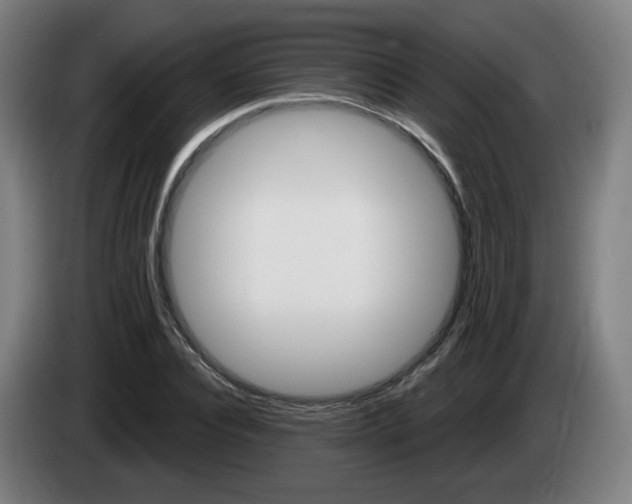 X0000085220928200703090825