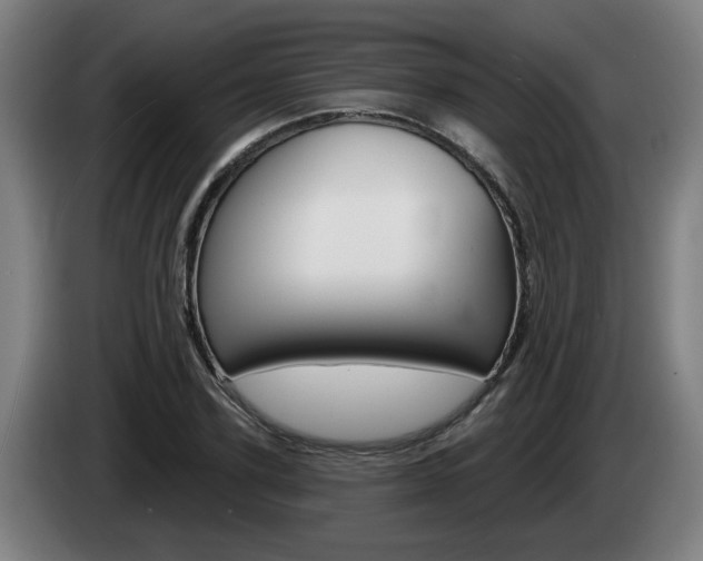 X0000085220931200703090825
