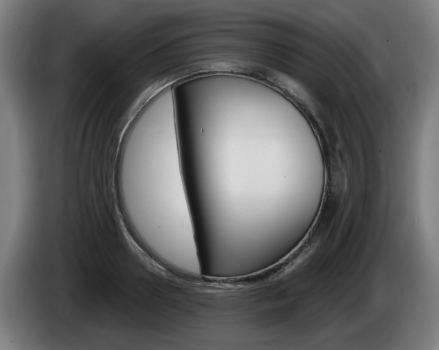 X0000085220938200703090825