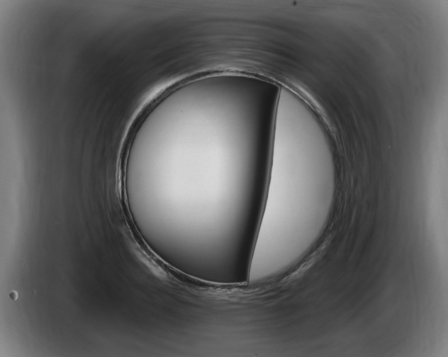 X0000085220940200703090825