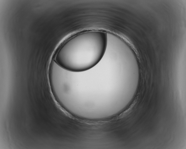 X0000085220942200703090825