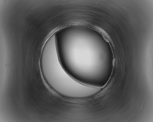 X0000085220946200703090825