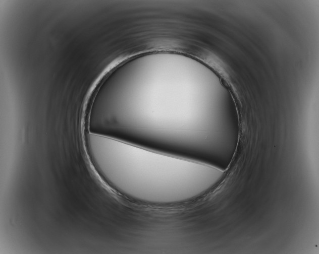 X0000085220947200703090825