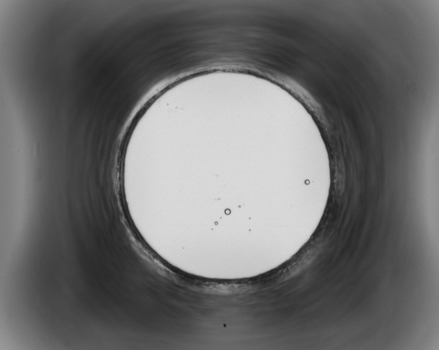 X0000085220950200703090825