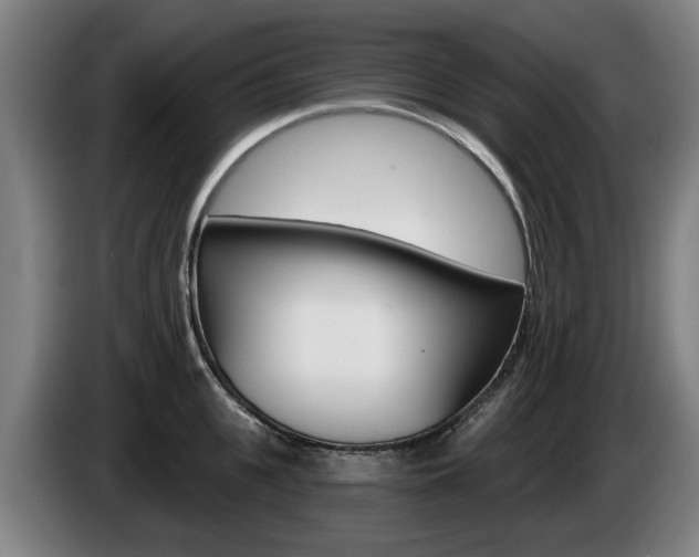X0000085220951200703090825