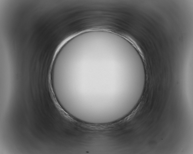 X0000085220952200703090825