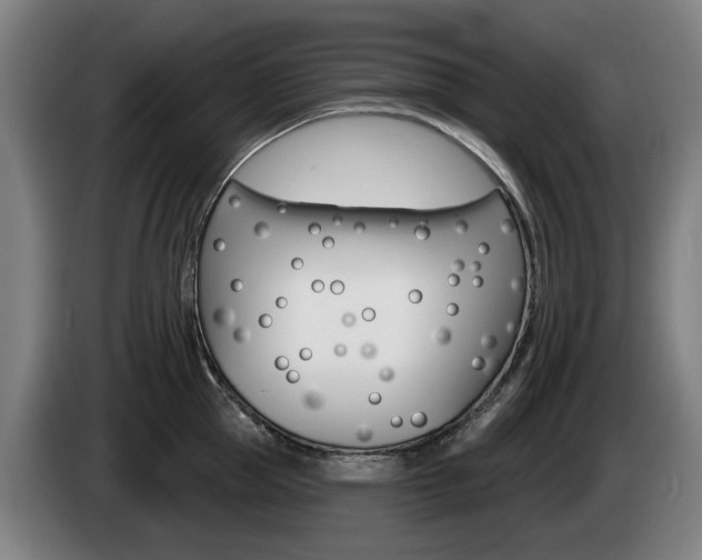X0000085220953200703090825