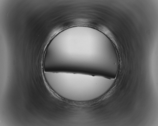 X0000085220954200703090825