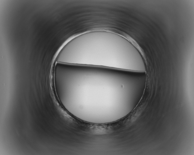 X0000085220955200703090825