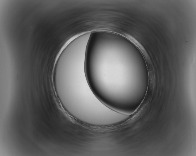 X0000085220956200703090825