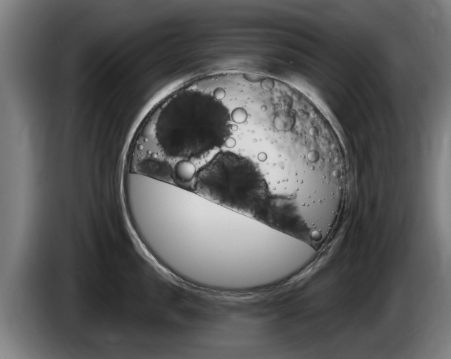 X0000085220957200703090825