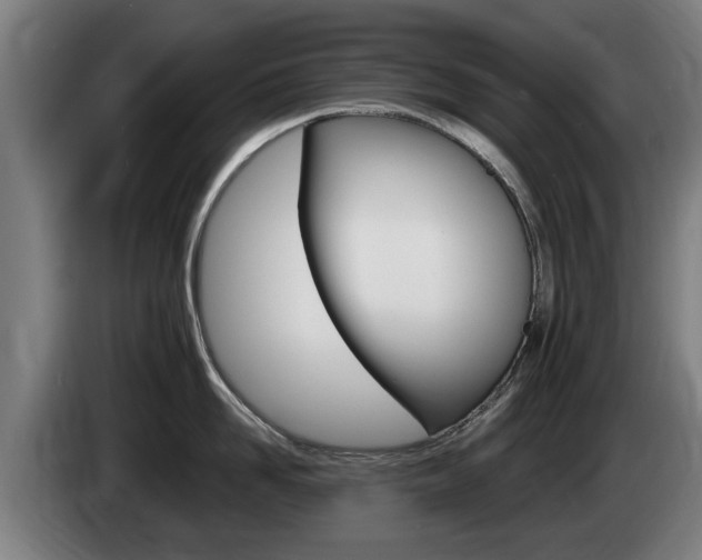 X0000085220958200703090825