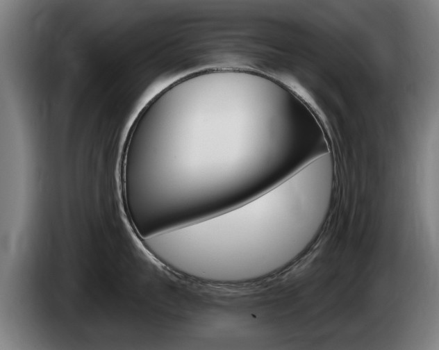 X0000085220959200703090825