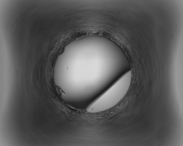 X0000085220961200703090824