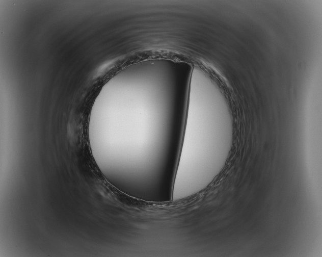 X0000085220968200703090824