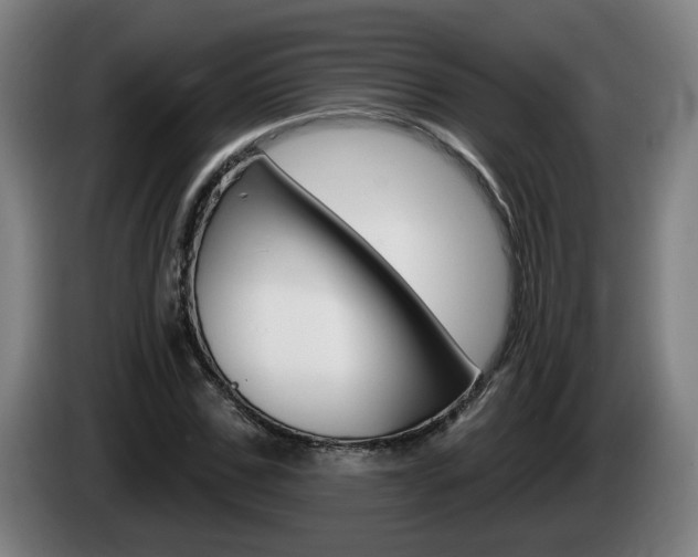 X0000085220971200703090824