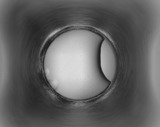 X0000085220974200703090824