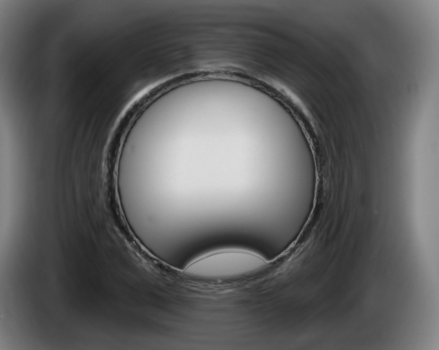 X0000085220975200703090824