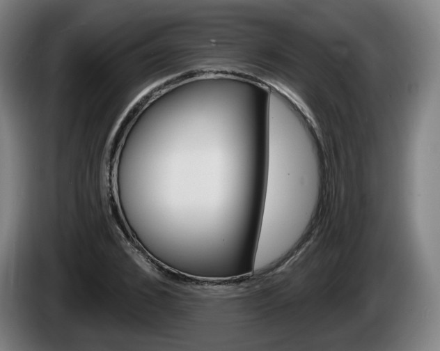 X0000085220976200703090824