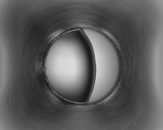 X0000085220977200703090824