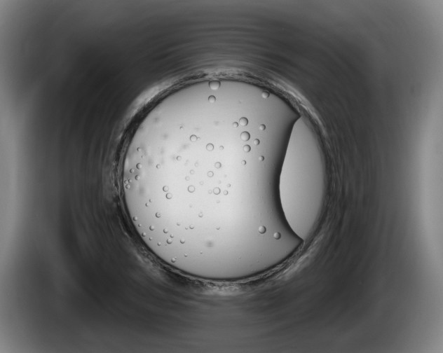 X0000085220978200703090824