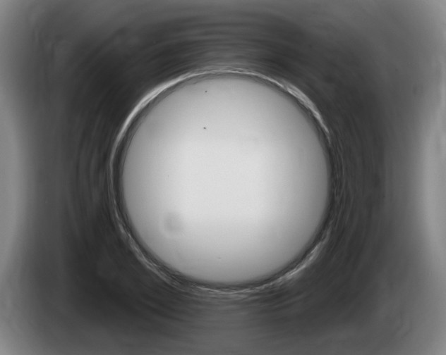X0000085220981200703090824