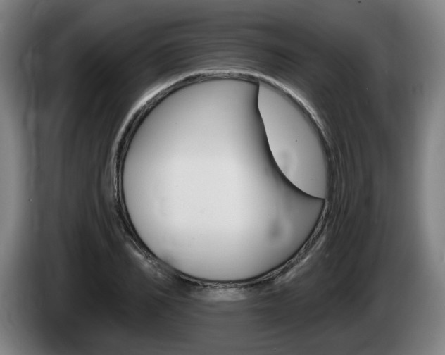 X0000085220982200703090824