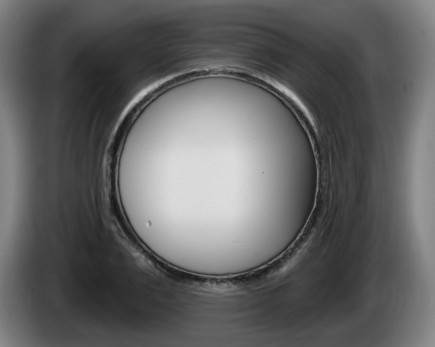 X0000085220983200703090824