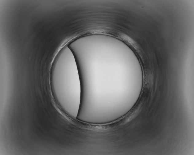 X0000085220986200703090824