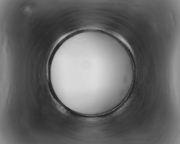 X0000085220988200703090824