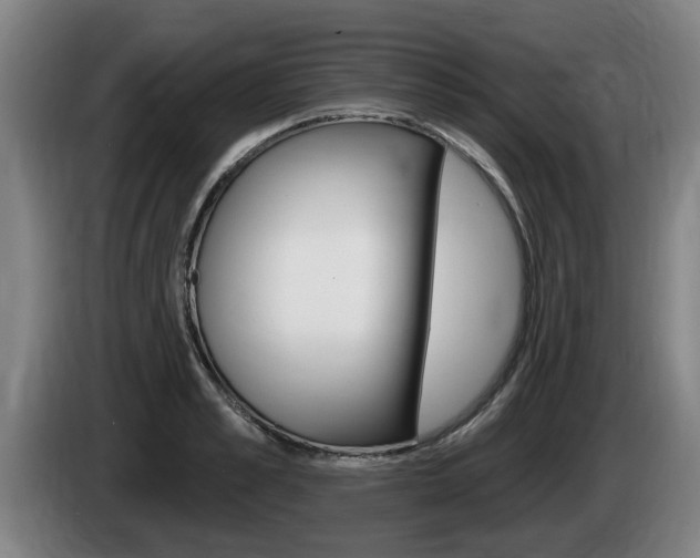 X0000085220989200703090824