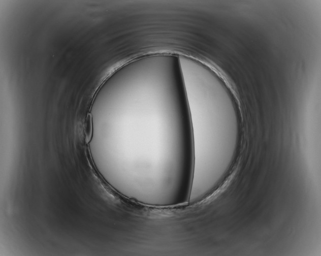 X0000085220993200703090824