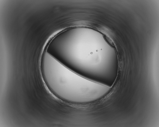 X0000085220995200703090824