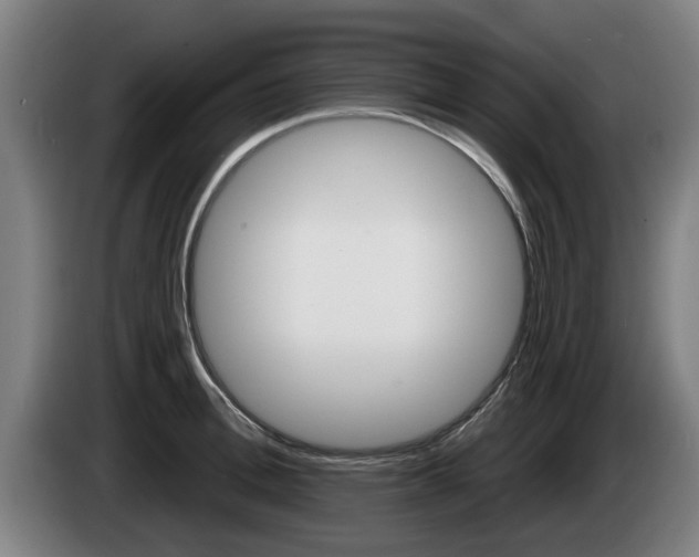X0000085220996200703090824