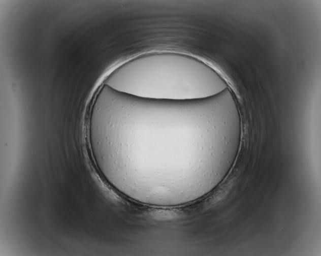 X0000085220998200703090824