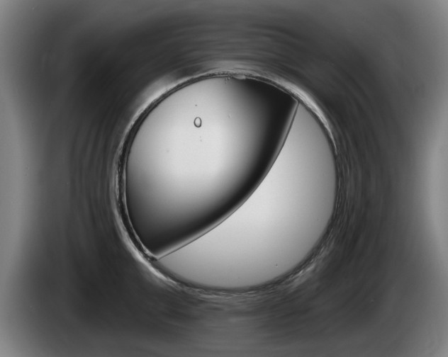 X0000085220999200703090824