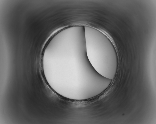 X0000085221000200703090824