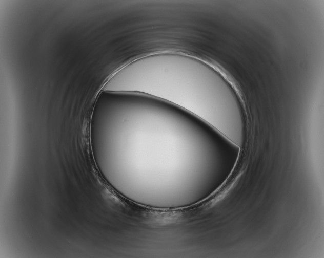 X0000085221001200703090824