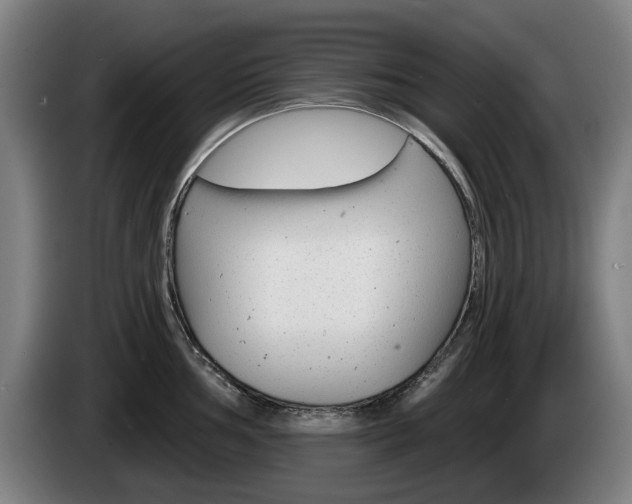 X0000085221002200703090824