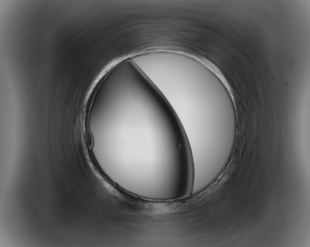 X0000085221005200703090824