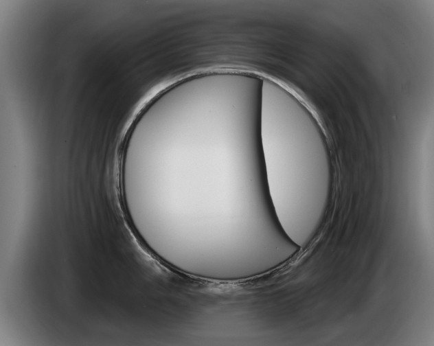 X0000085221006200703090824
