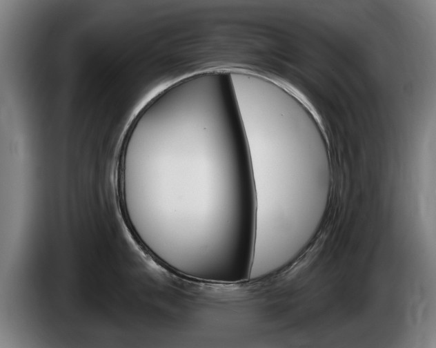 X0000085221007200703090824